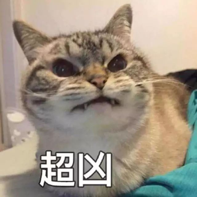 猫名字大全_猫名字叫什么好听_猫的名字