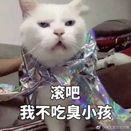 猫的名字_猫名字叫什么好听_猫名字大全