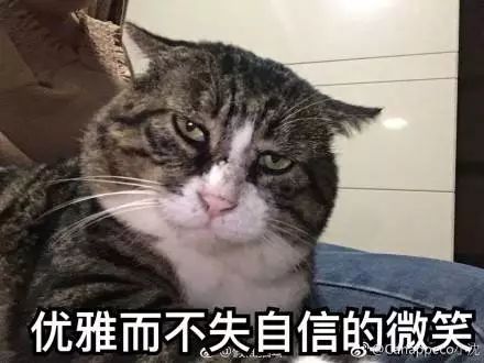 猫名字大全_猫的名字_猫名字叫什么好听