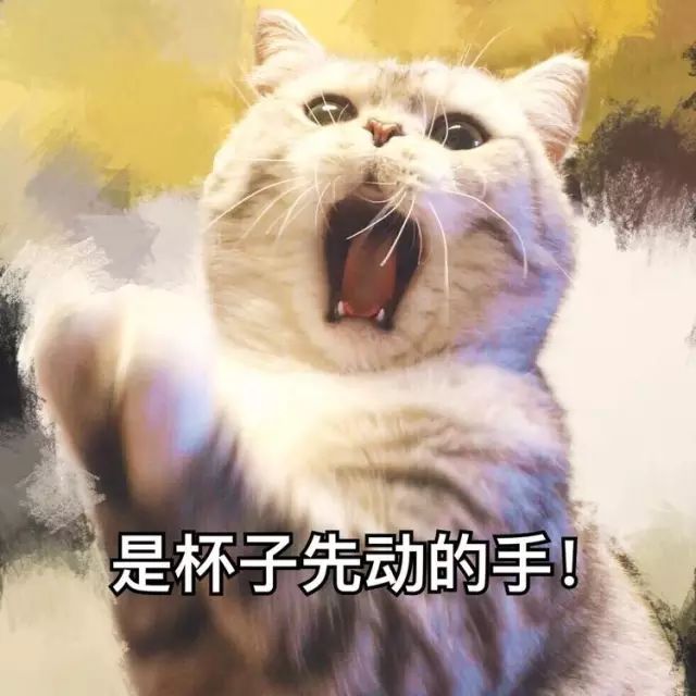 猫名字叫什么好听_猫名字大全_猫的名字