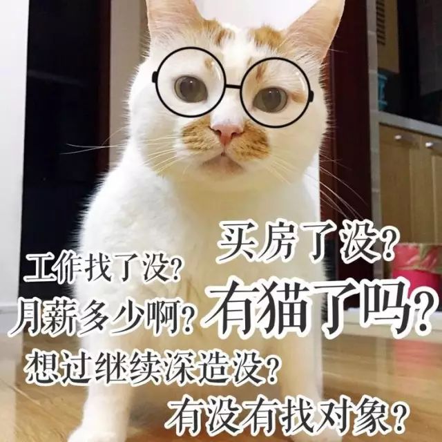 猫名字大全_猫的名字_猫名字叫什么好听