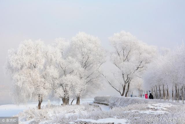 梦到征兆下雪是胎梦吗_梦到下雪是什么征兆_梦到征兆下雪是什么意思