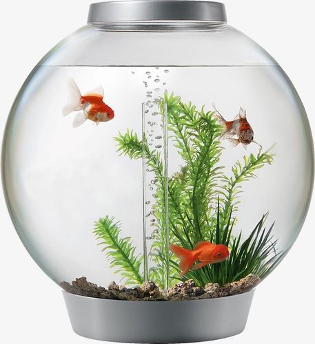 风水生意怎么做_风水生意为何不赚钱了_生意风水