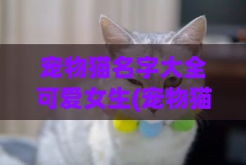 宠物猫名字大全可爱女生(宠物猫的品种图片名字大全)