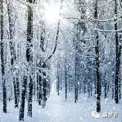 梦见下雪是什么意思