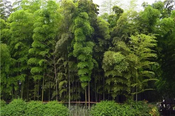 庭院风水_庭院风水口诀_庭院风水布局有什么讲究