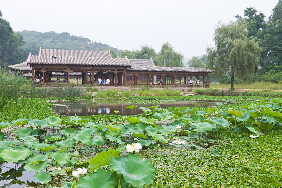 园林风水学书籍_园林风水的布局原则_园林风水