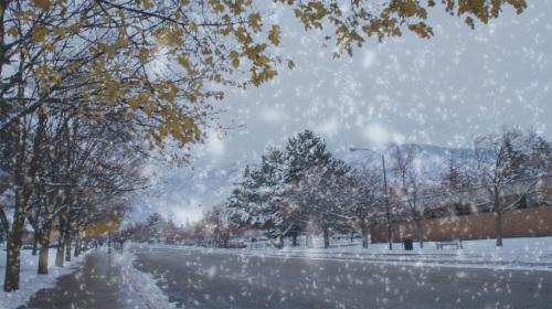 下雪梦见下雪是什么意思_梦见下雪_下雪梦见下雪