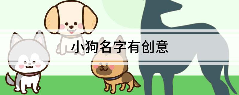 小狗名字有创意