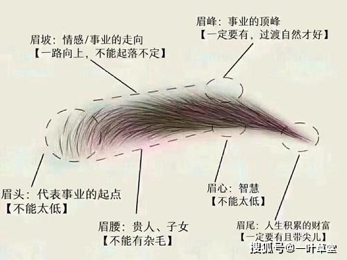 常用的眉毛面相风水学，增长你阅人功力，非常值得收藏