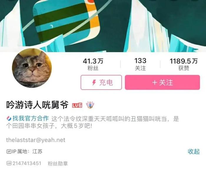 小猫名字独特小众_小猫名字可爱洋气_小猫的名字